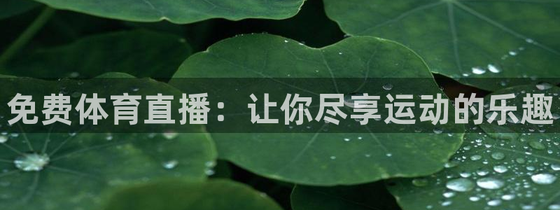 免费体育直播：让你尽享运动的乐趣