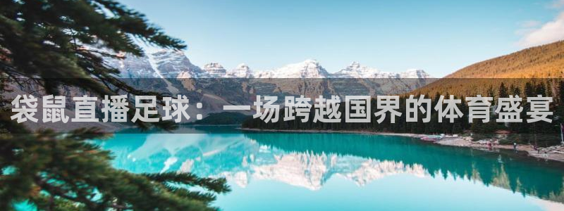 袋鼠直播足球：一场跨越国界的体育盛宴