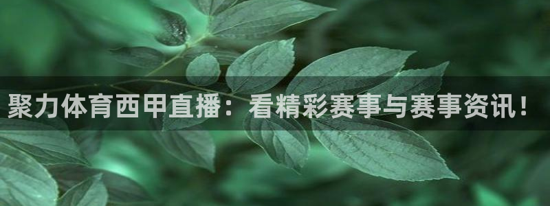 聚力体育西甲直播：看精彩赛事与赛事资讯！